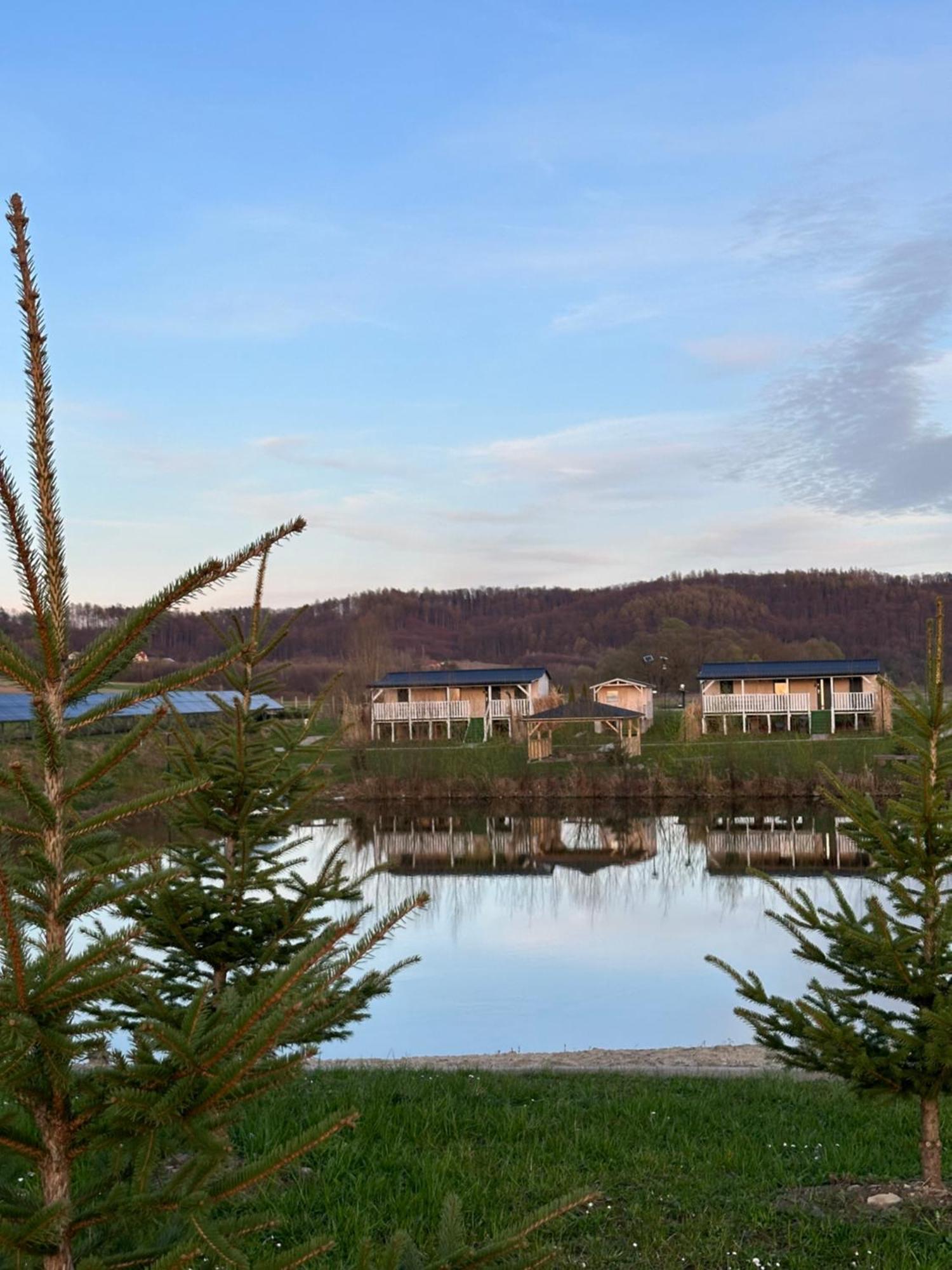 Domki Nad Sanem Bachorzec Dubiecko Buitenkant foto