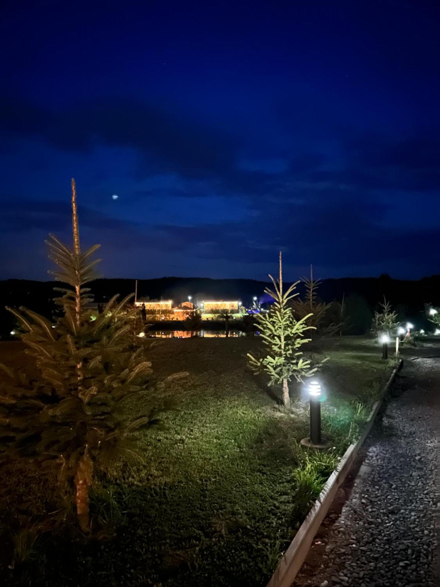 Domki Nad Sanem Bachorzec Dubiecko Buitenkant foto