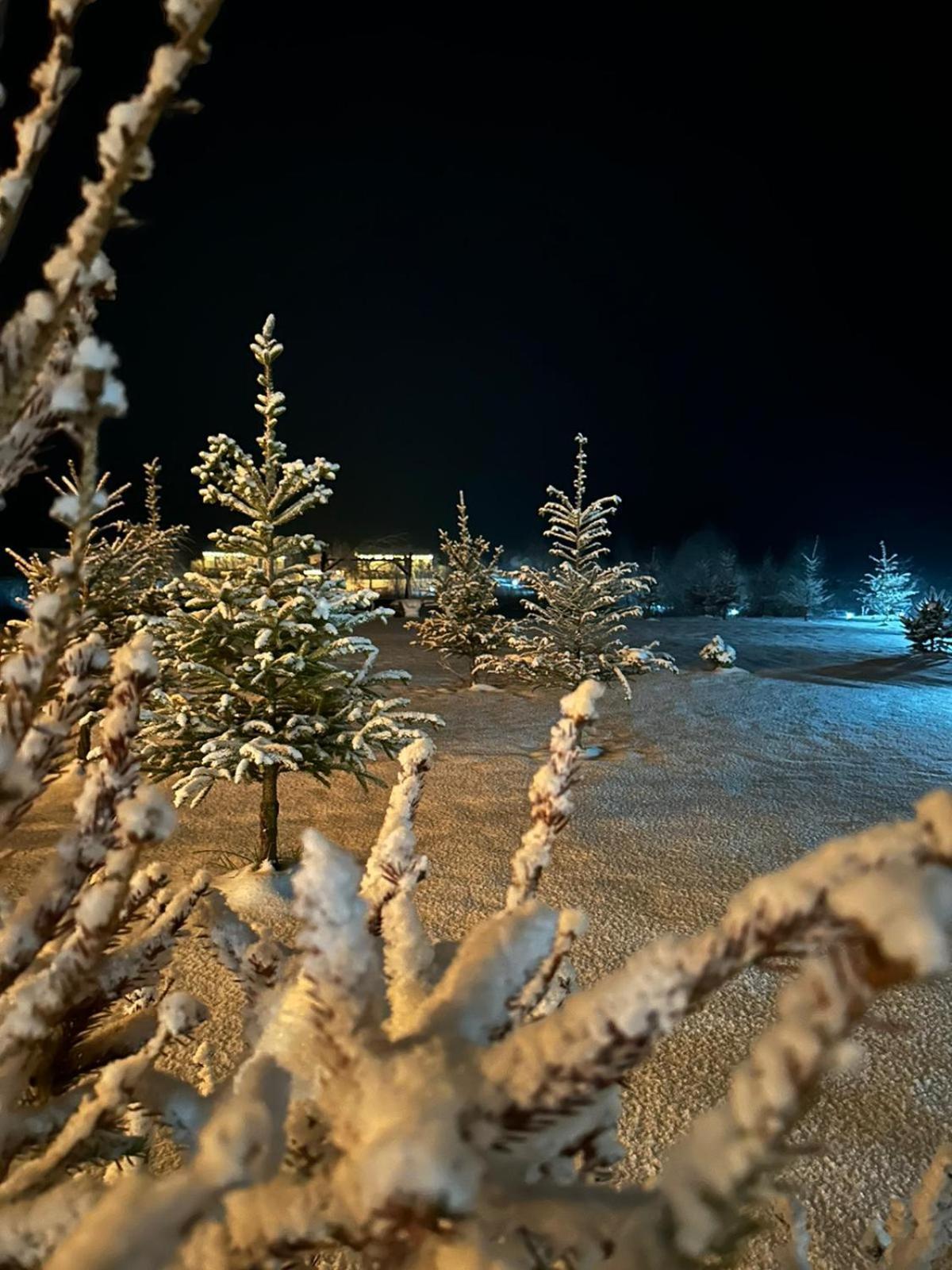 Domki Nad Sanem Bachorzec Dubiecko Buitenkant foto
