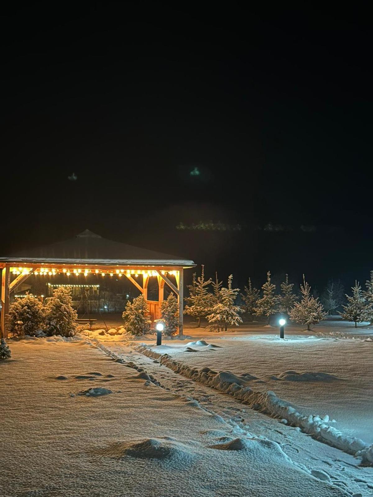 Domki Nad Sanem Bachorzec Dubiecko Buitenkant foto